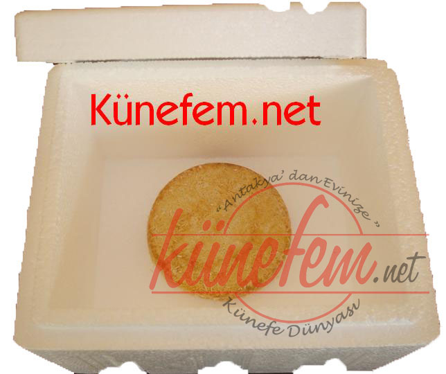 kutu